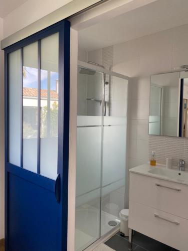a bathroom with a shower and a blue door at Le cabanon in La Rochelle