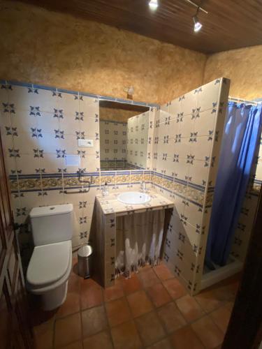 y baño con aseo y lavamanos. en casa rural la tramonera en San Esteban de la Sierra