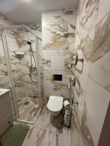 a bathroom with a toilet and a shower at MB Livinga Vieno miegamojo apartamentai Ventos g in Mažeikiai
