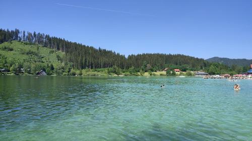a group of people swimming in a lake at Nur 3 Min zu Skilift & 5Min zum See in Mitterbach