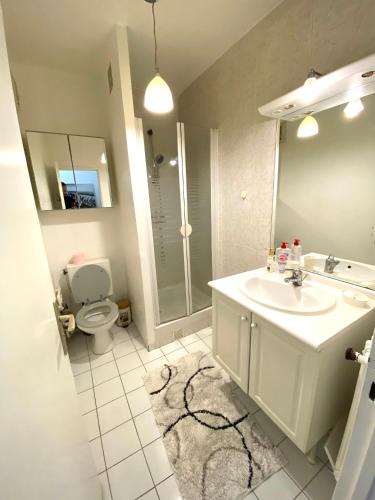 La salle de bains est pourvue d'un lavabo, d'une douche et de toilettes. dans l'établissement Appartement Marceau Courbevoie, à Courbevoie