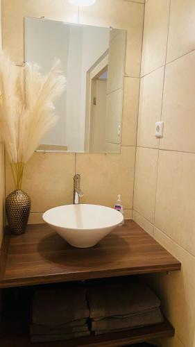 a bathroom with a white sink and a mirror at Villa Unique in Willemstad