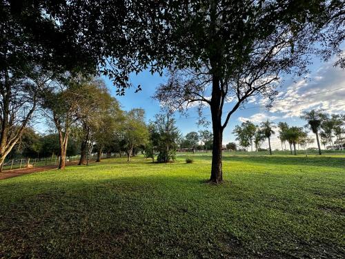 a park with a tree in the grass at Parque Hotel Manantial in Hohenau