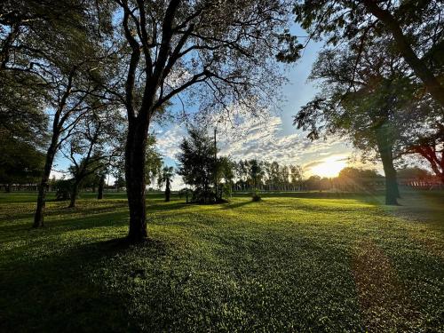 a tree in a park with the sunset in the background at Parque Hotel Manantial in Hohenau