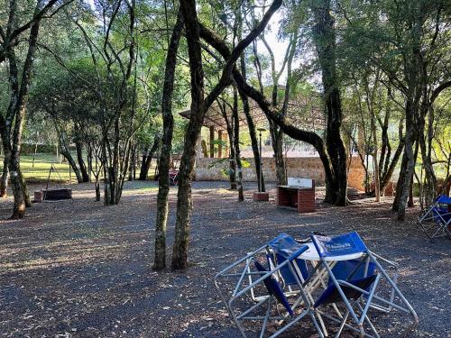 two blue chairs sitting in a park with trees at Parque Hotel Manantial in Hohenau