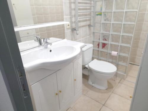 La salle de bains est pourvue d'un lavabo et de toilettes. dans l'établissement Appartement d'une chambre avec vue sur le lac terrasse amenagee et wifi a Sainte Croix du Verdon a 2 km de la plage, à Sainte-Croix-de-Verdon