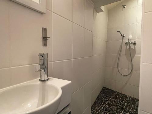 baño blanco con ducha y lavamanos en Mini maison à Sierre linges et nettoyage compris, en Sierre