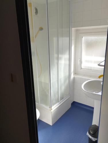 a bathroom with a shower and a sink at L'Albatros in Perros-Guirec