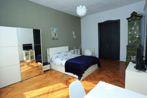 1 dormitorio con 1 cama y TV en Napoca Central Apartment en Cluj-Napoca