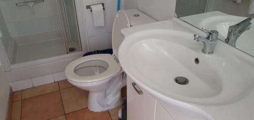 une salle de bain avec un lavabo blanc et des toilettes dans l'établissement STUDIO A LOUER, à Lamalou-les-Bains
