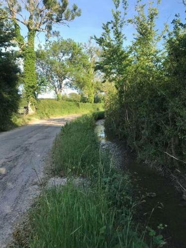 a dirt road next to a field with trees at Le Sapin in Audrehem