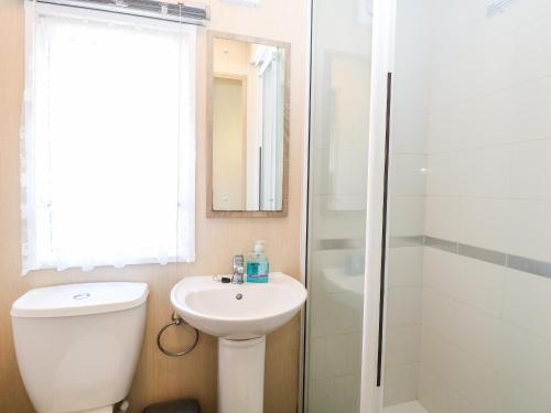 uma casa de banho com um WC, um lavatório e um chuveiro em Freddy's Lodge, Foxburrow Hang em Great Yarmouth
