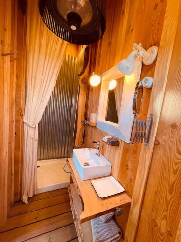 une petite salle de bain avec un lavabo et une douche dans l'établissement Dôme insolite Lichen jacuzzi et petits-déjeuners inclus, à Gondrin
