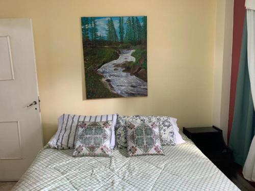 1 dormitorio con 1 cama con almohadas y una pintura en la pared en Apart Hotel Comfort City en Salta