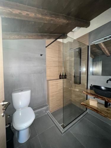 a bathroom with a toilet and a shower and a sink at North Chalet in Arachova