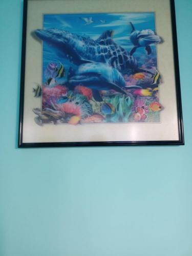 a framed picture of fish on the wall at SANDY APARTAMENTO in Santa Rosa de Cabal