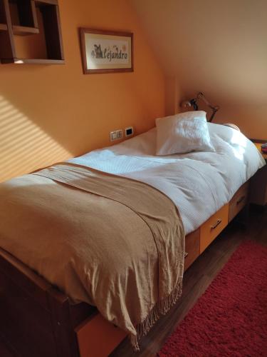 1 cama grande en un dormitorio con alfombra roja en Duplex Boñar, en Boñar