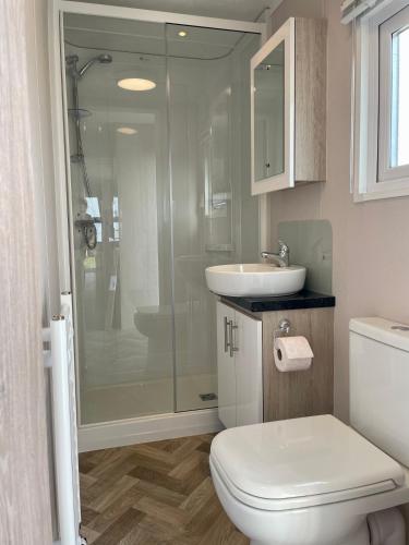 a bathroom with a shower and a toilet and a sink at Chalet direct aan Waddenzee in Westerland