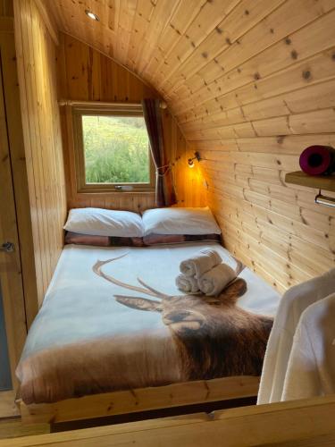 1 dormitorio con 2 camas en una cabaña de madera en Stoneymollan over Loch Lomond en Balloch