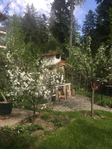 ogród z domem i drzewem z białymi kwiatami w obiekcie Ancora w mieście Predeal