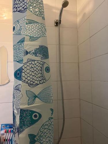 a shower curtain with fish on it in a bathroom at 016- 1 bedroom church street F31 in London