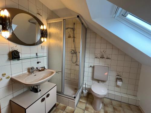 een badkamer met een douche, een wastafel en een toilet bij Berufspendler- wohnen wo Andere Urlaub machen in Neuhütte