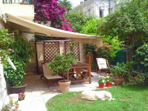 a dog laying on the grass in a garden at Provencal house, sea side, private parking in Nice