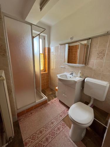 Koupelna v ubytování Karolin Apartman