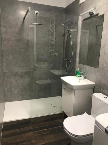 een badkamer met een douche, een toilet en een wastafel bij Kawalerka na Targowej in Toruń