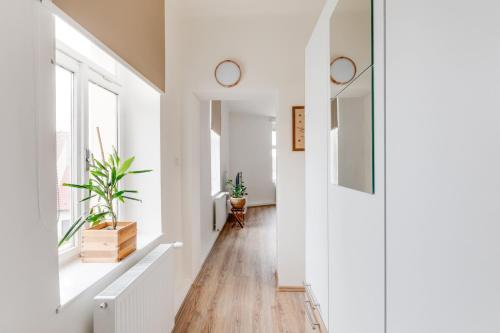 a hallway with white walls and wood floors and windows at Modern, bright and spacious apartment in Prague