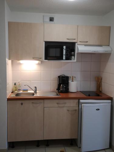 une petite cuisine avec un évier et un micro-ondes dans l'établissement Les Balcons de La Neste - Appt 1 à 6 personnes (Balcon et vue montagne), à Arreau
