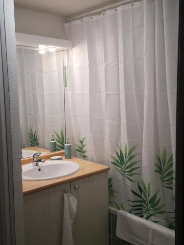 une salle de bain avec un lavabo et un rideau de douche dans l'établissement Les Balcons de La Neste - Appt 1 à 6 personnes (Balcon et vue montagne), à Arreau