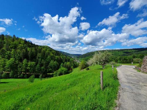 a grassy hill with a road in the distance at Am Klosterviertel in Bad Herrenalb