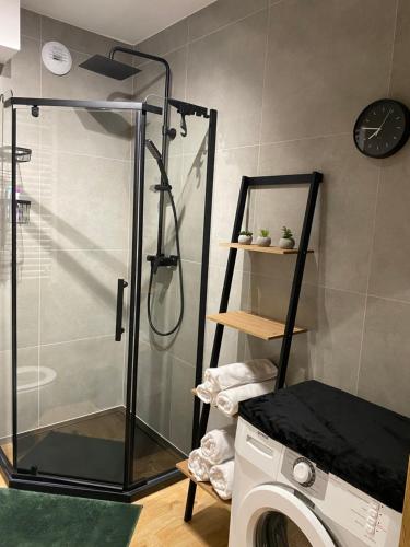 łazienka z prysznicem i pralką w obiekcie Apartament Spokojna Przystań w mieście Rzeszów
