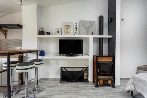 Μια τηλεόραση ή/και κέντρο ψυχαγωγίας στο Loft Deluxe Magnolia - Ovindoli