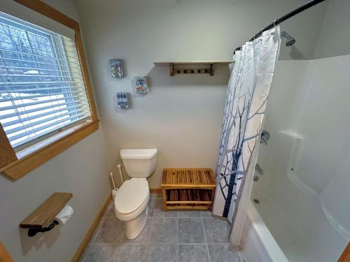 a bathroom with a toilet and a shower at NEW Single family home with spectacular views and lots of space Privacy convenience and style in Carroll