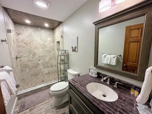 a bathroom with a toilet and a sink and a shower at FC17 Stylishly renovated Forest Cottage walk to Bretton Woods ski trails wifi cable ping pong in Carroll