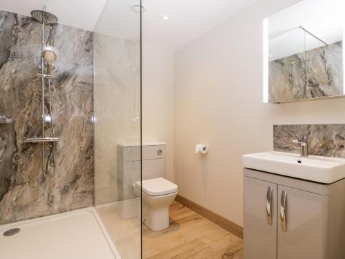 a bathroom with a shower and a toilet and a sink at Olive Tree Cottage in Langport