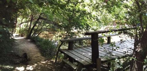 un banco de madera a la sombra de los árboles en Cabañas Verdes en Tigre