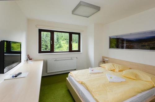 Postel nebo postele na pokoji v ubytování Horský Hotel Friesovy Boudy