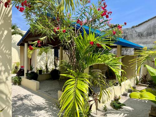uma casa com uma palmeira em frente em Athiri Inn Kelaa em Kelaa
