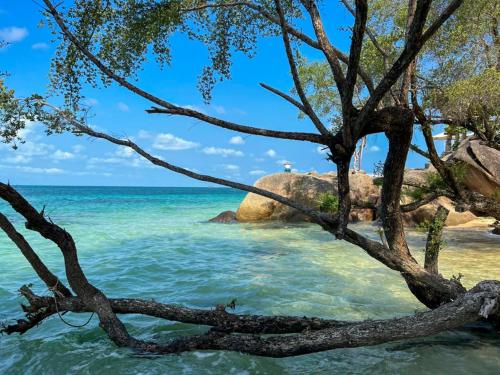a tree branch in the water at the beach at Siam Cookies Cottage in Haad Pleayleam