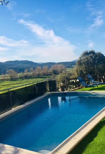 - une piscine d'eau bleue dans l'herbe dans l'établissement LE PALADIN Porto Pollo Villa privée avec piscine chauffée, à Serra-di-Ferro
