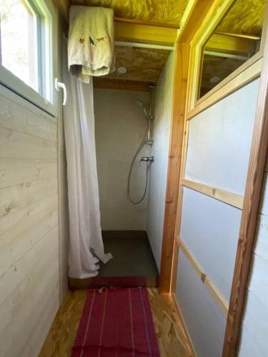 a small bathroom with a shower and a window at Tiny house au cœur du bocage in Landelles-et-Coupigny
