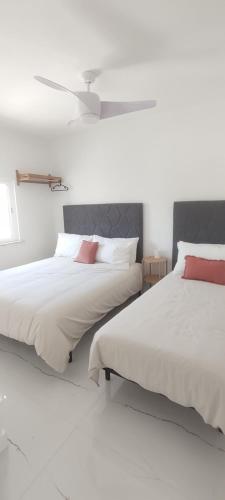 Casa da paz #2
