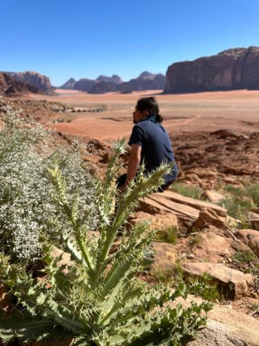 a person walking in the desert with a plant at bedouin future camp in Wadi Rum