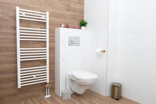 a bathroom with a white toilet in a room at Millennium Apartment in Bačka Palanka