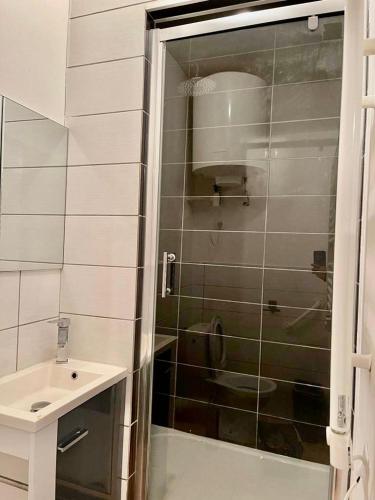 een badkamer met een douche, een toilet en een wastafel bij Chez doudou 1 in Roanne
