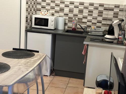 een kleine keuken met een magnetron op een aanrecht bij Chez doudou 1 in Roanne