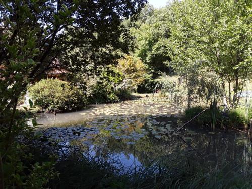 a pond with lily pads on the water with trees at Le chalet de la grenouille verte in Tursac